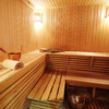 Professional steam bath